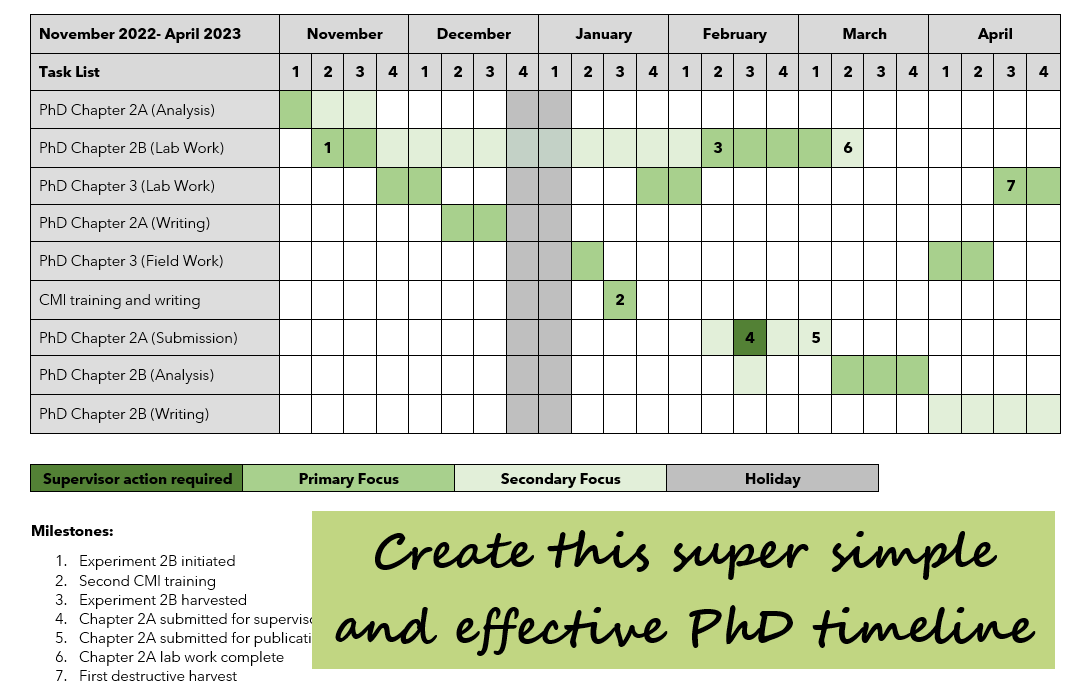 4 year phd timeline example