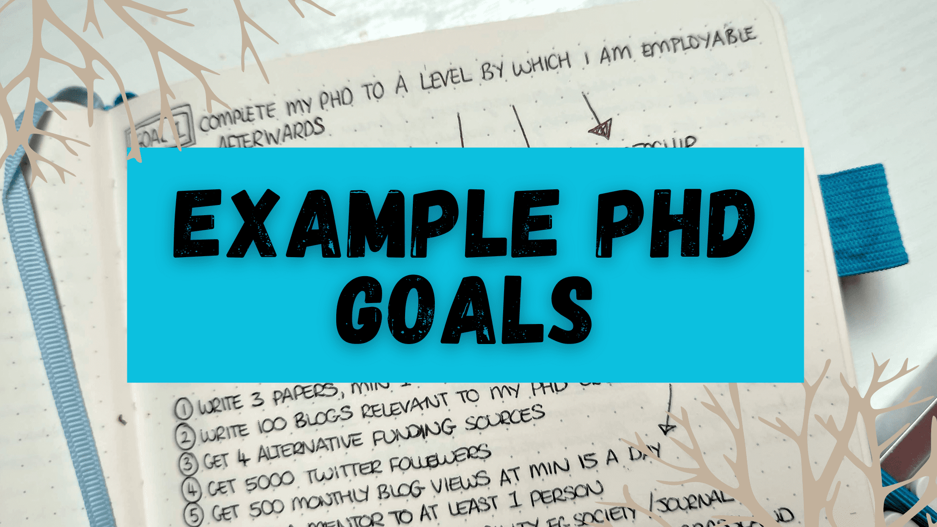 phd student goals